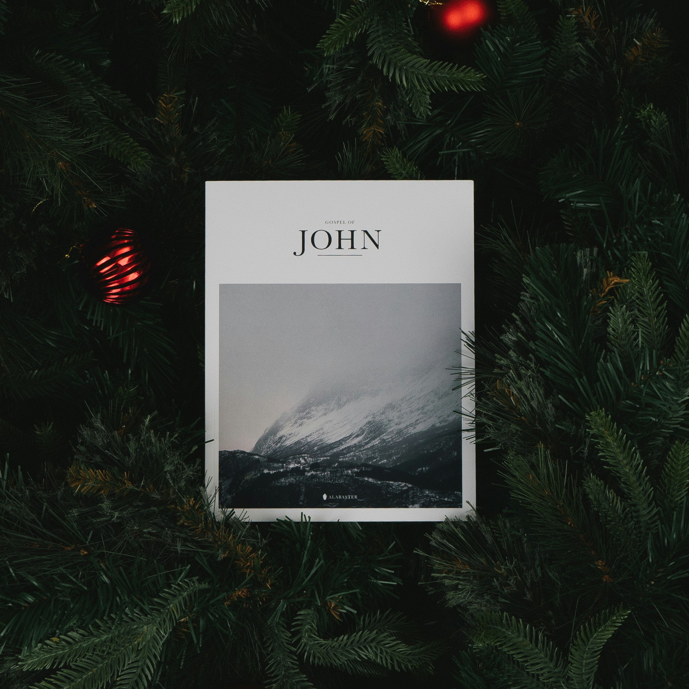 Following Jesus Every Day