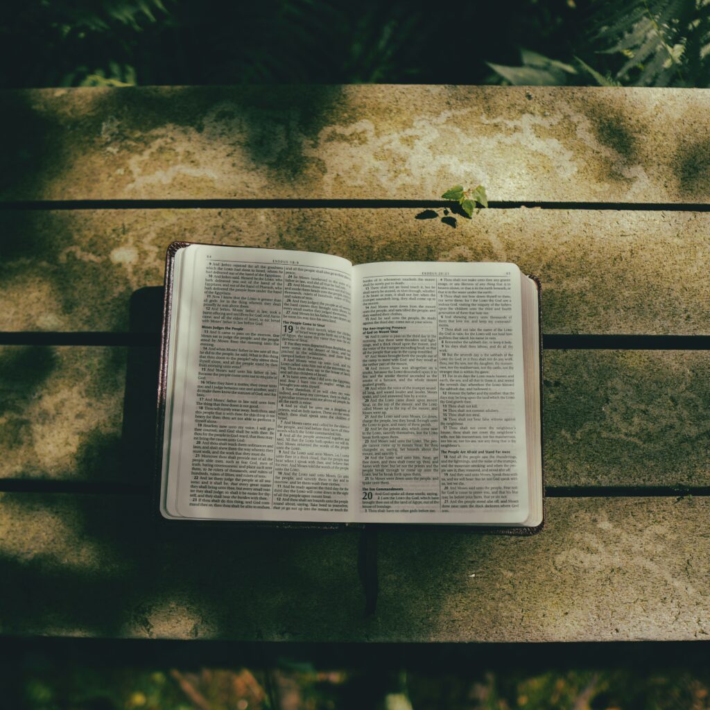 emmanuel-phaeton-j0Ot1t2PA-Q-unsplash