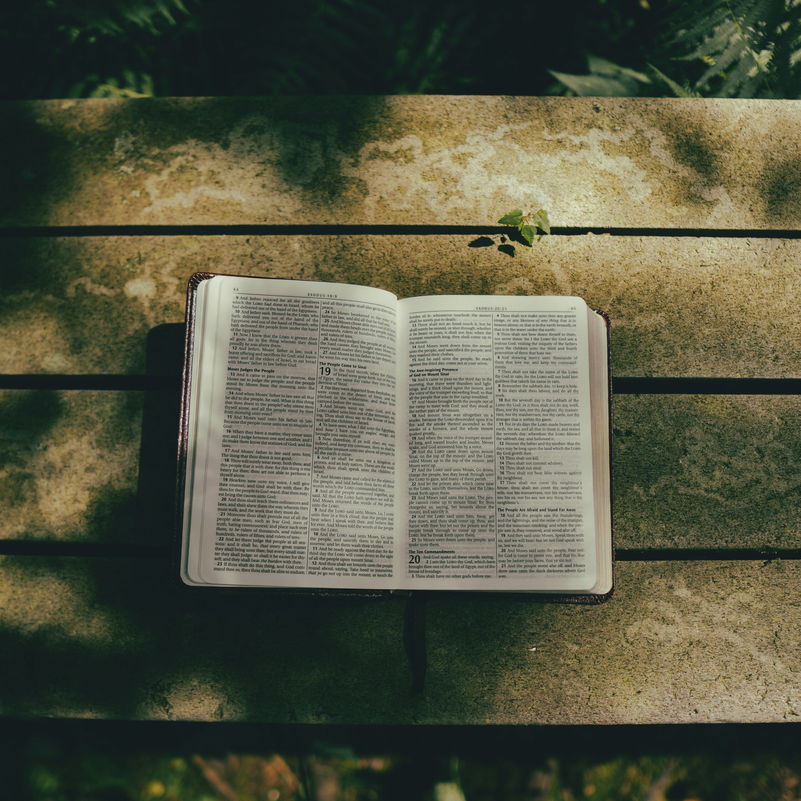 Christ, Our Firm Foundation